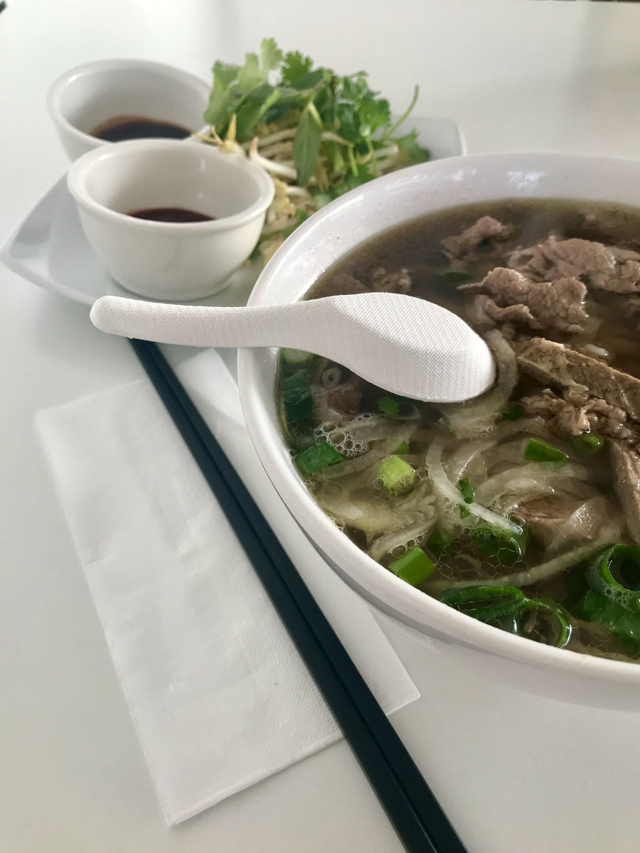 EKO Sugar Cane Chinese Soup Spoon EkoPackaging